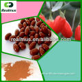 fresh goji berries, organic goji berry